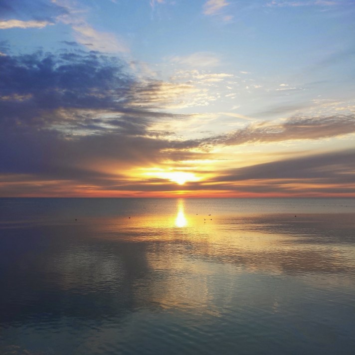 Processed with VSCO with t1 preset