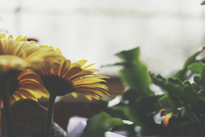 Processed with VSCO with t1 preset