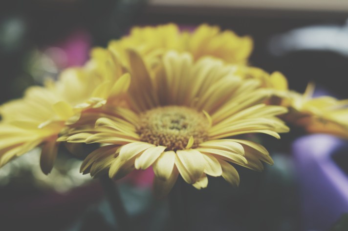 Processed with VSCO with t1 preset