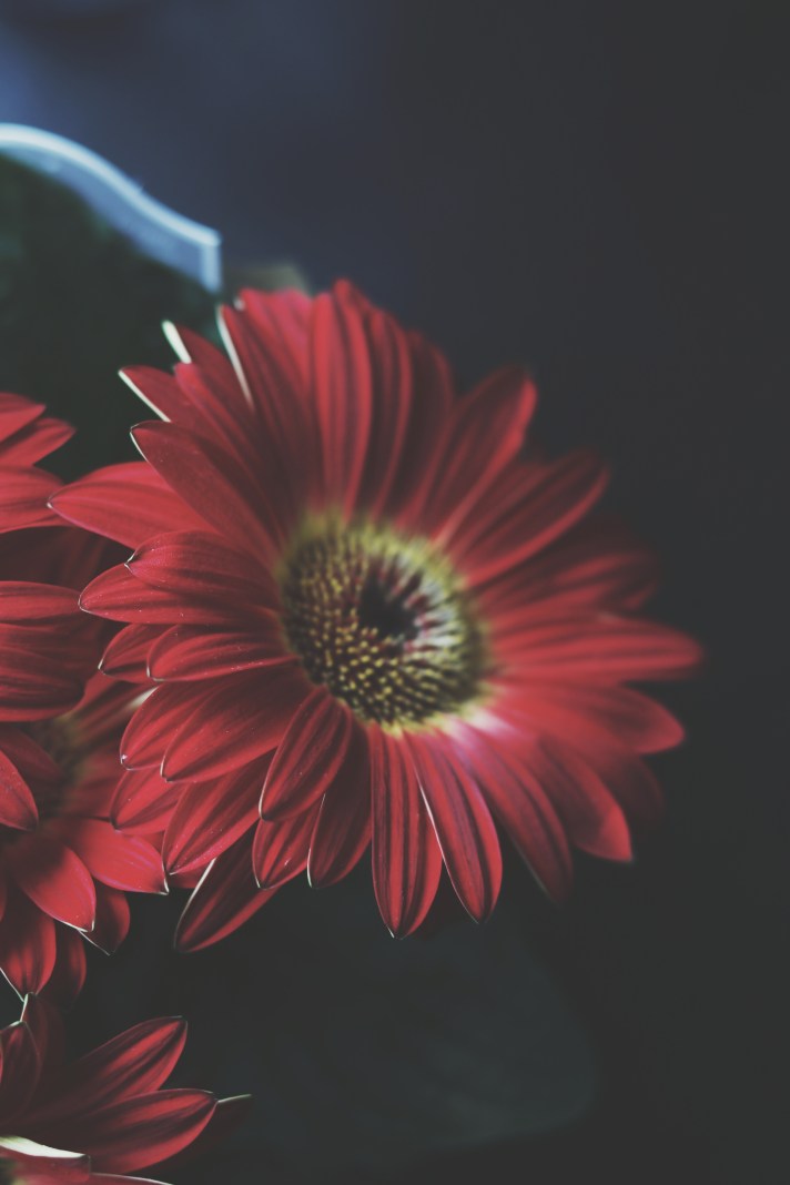 Processed with VSCO with t1 preset